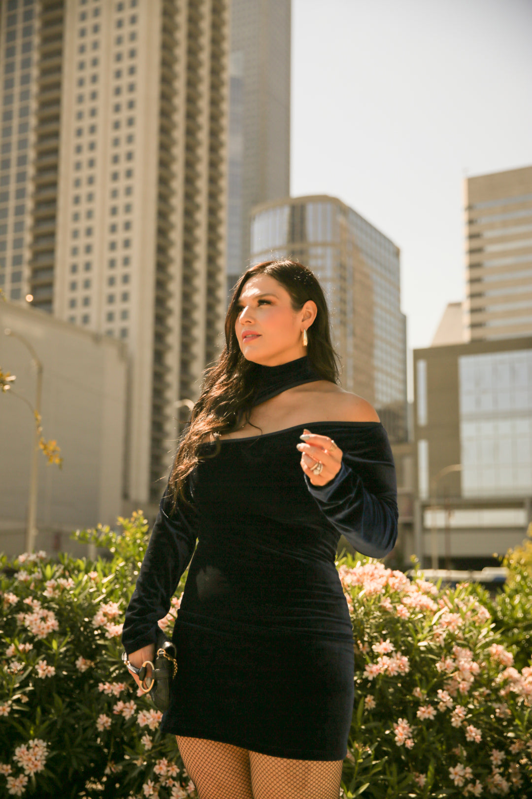 Chantal velvet dress