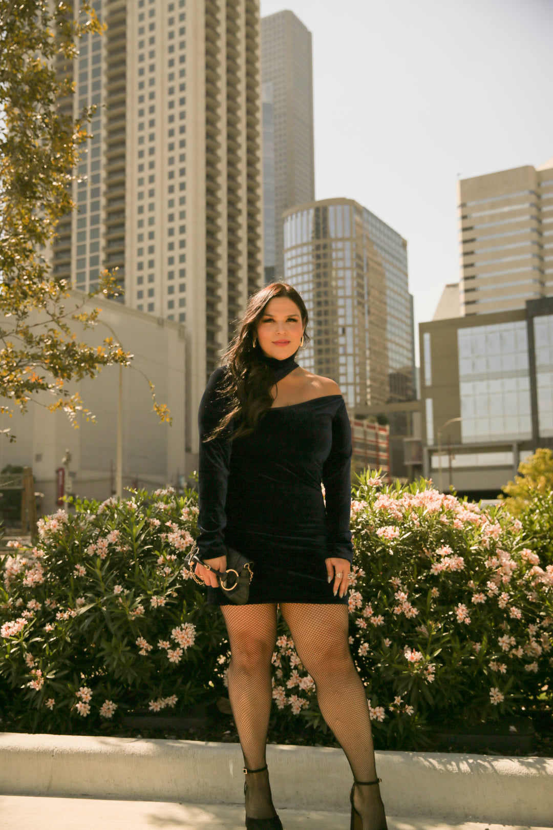 Chantal velvet dress